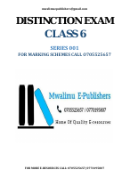 CLASS 6 DISTINCTION SERIES 1.pdf